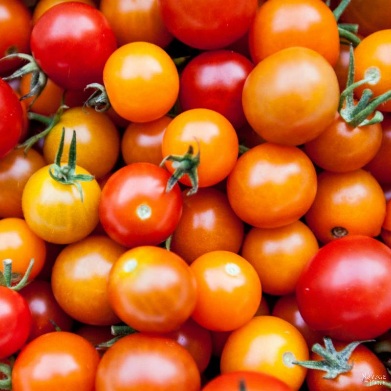 Cherry Tomato Soup | Cooking From Scratch | Organic Food | TheNavagePatch.com