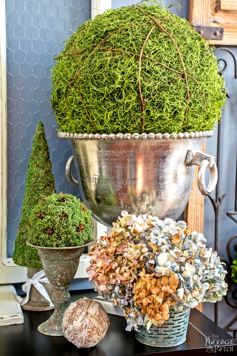 Moss Balls and Topiaries (Size Does Matter!) - The Navage Patch