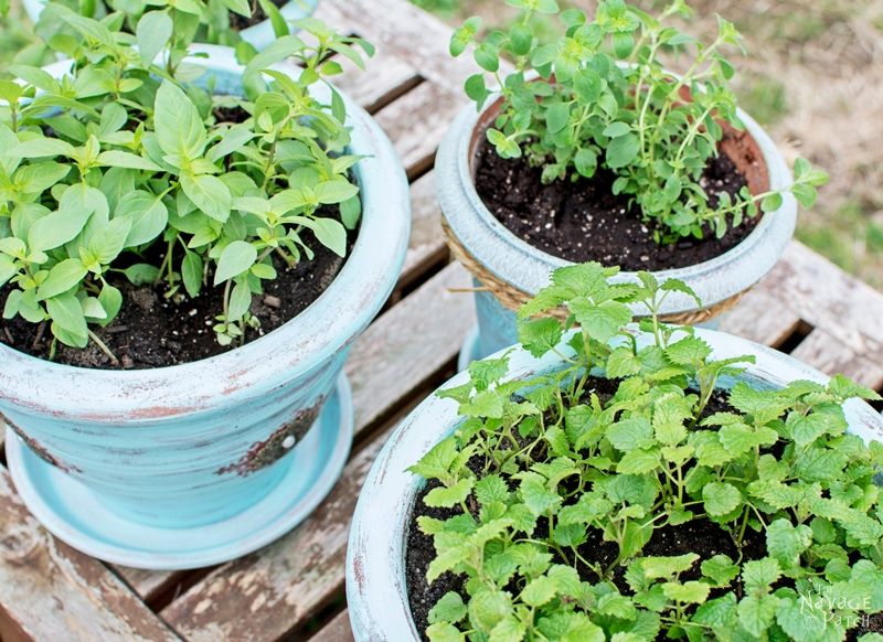 DIY flower pot makeover with homemade chalk paint | Painted, stenciled and distressed terracotta planters | Planter makeover with DIY chalk paint | Wet distressing method | #TheNavagePatch #DIY #Garden #Upcycle #ChalkPaint | Free paint color code | TheNavagePatch.com