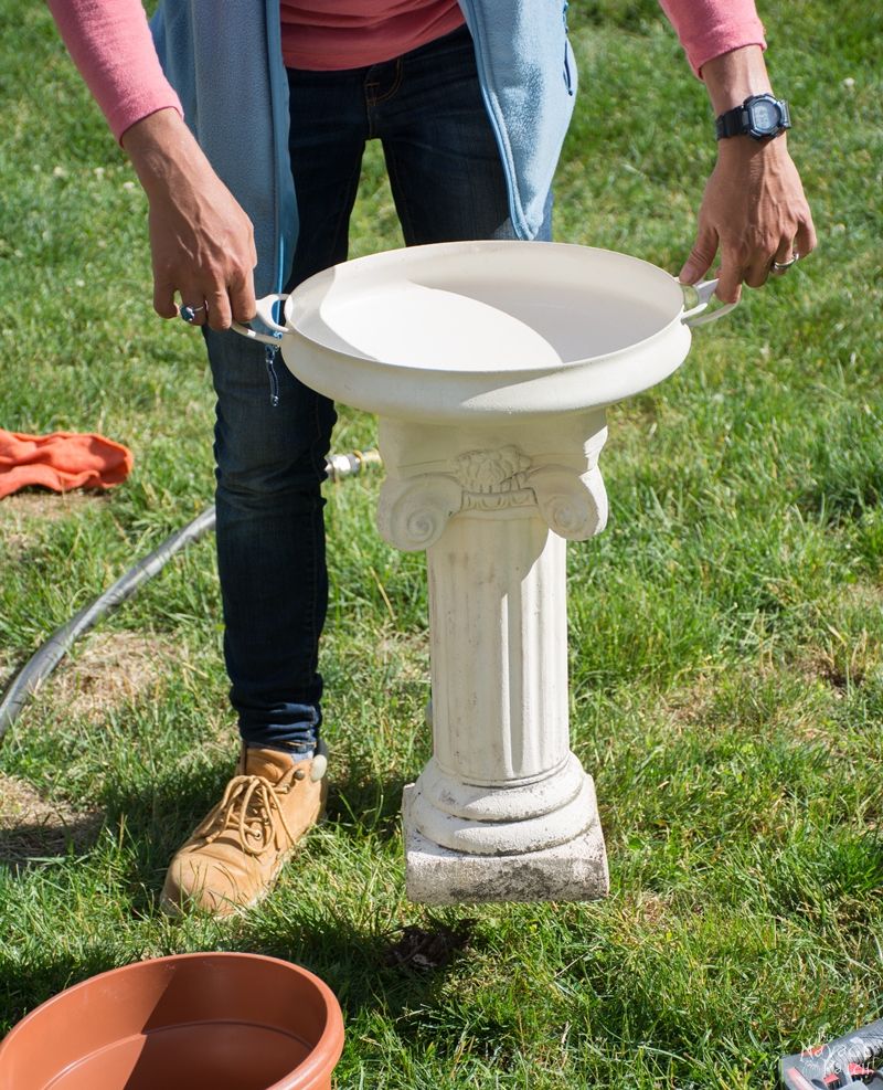 DIY Bird Bath | How to make a bird bath | How to keep your bird bath algae free | How to prevent algae growth | Simple upcycled garden and backyard decor | DIY garden and backyard decor | Homemade bird bath | #TheNavagePatch #Garden #DIY #Backyard #Upcycled #Repurposed | TheNavagePatch.com