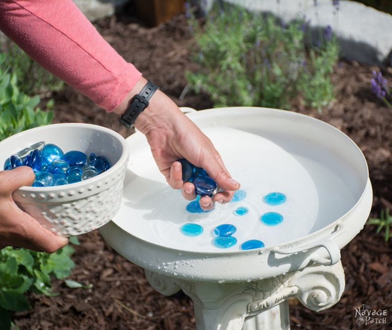 DIY Bird Bath | How to make a bird bath | How to keep your bird bath algae free | How to prevent algae growth | Simple upcycled garden and backyard decor | DIY garden and backyard decor | Homemade bird bath | #TheNavagePatch #Garden #DIY #Backyard #Upcycled #Repurposed | TheNavagePatch.com