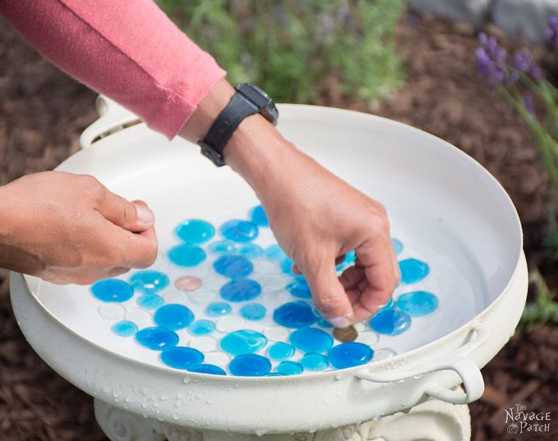 DIY Bird Bath | How to make a bird bath | How to keep your bird bath algae free | How to prevent algae growth | Simple upcycled garden and backyard decor | DIY garden and backyard decor | Homemade bird bath | #TheNavagePatch #Garden #DIY #Backyard #Upcycled #Repurposed | TheNavagePatch.com