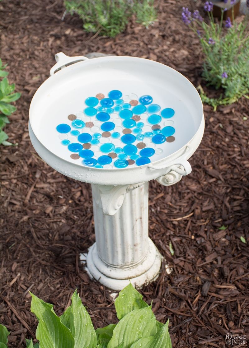 DIY Bird Bath | How to make a bird bath | How to keep your bird bath algae free | How to prevent algae growth | Simple upcycled garden and backyard decor | DIY garden and backyard decor | Homemade bird bath | #TheNavagePatch #Garden #DIY #Backyard #Upcycled #Repurposed | TheNavagePatch.com