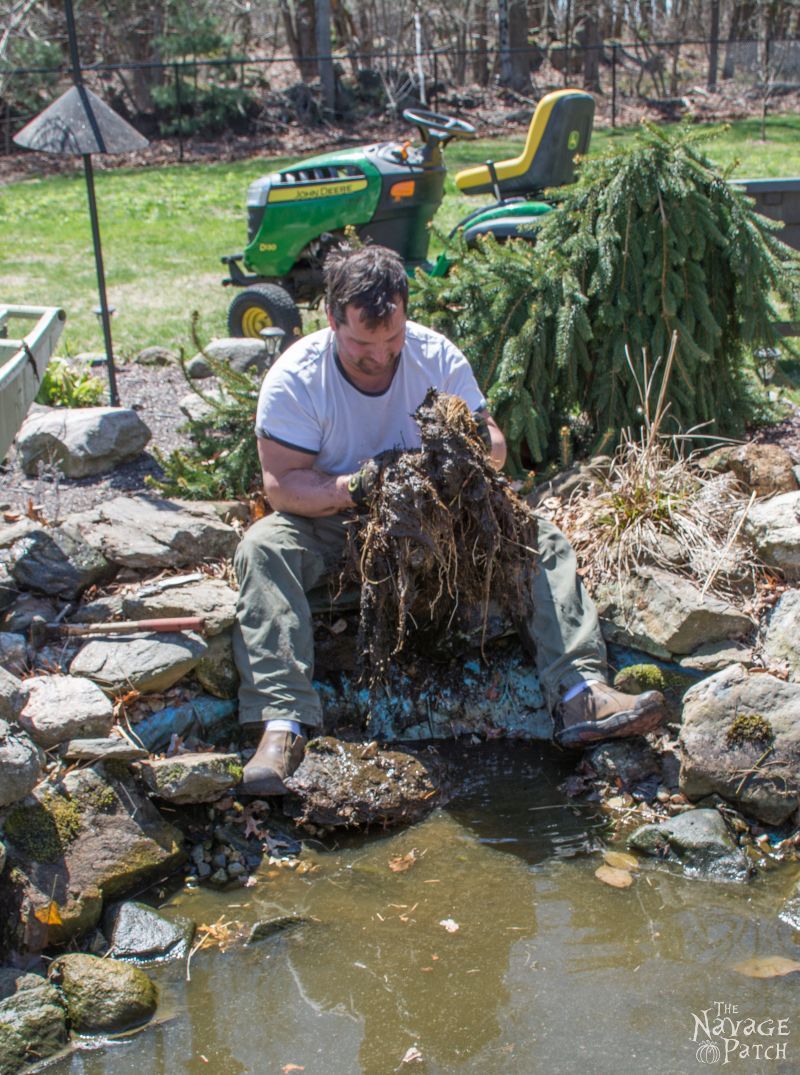 The Pond Project | DIY pond and backyard makeover | DIY garden edging | How to lay edge stones | How to edge garden beds | Tips on landscaping | DIY garden decor | DIY koi pond lining | How to maintain a koi pond | Spring planting and transplanting | Pond and backyard reveal | Before & After | TheNavagePatch.com