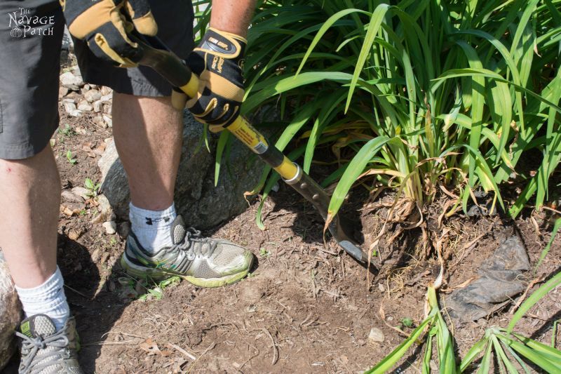 The Pond Project | DIY pond and backyard makeover | DIY garden edging | How to lay edge stones | How to edge garden beds | Tips on landscaping | DIY garden decor | DIY koi pond lining | How to maintain a koi pond | Spring planting and transplanting | Pond and backyard reveal | Before & After | TheNavagePatch.com