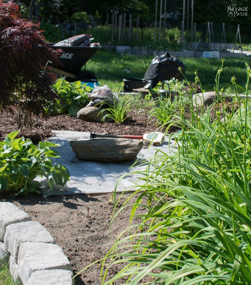 The Pond Project | DIY pond and backyard makeover | DIY garden edging | How to lay edge stones | How to edge garden beds | Tips on landscaping | DIY garden decor | DIY koi pond lining | How to maintain a koi pond | Spring planting and transplanting | Pond and backyard reveal | Before & After | TheNavagePatch.com