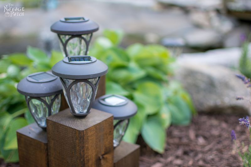 group of cedar post solar landscape lights in a garden