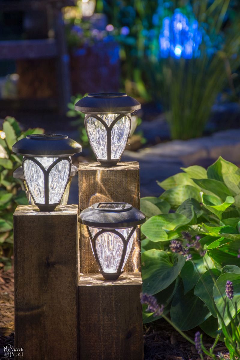 cedar cube solar landscape lights in a garden at night