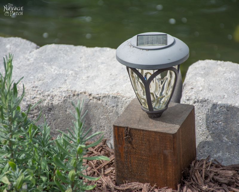 cedar cube solar landscape light in a garden