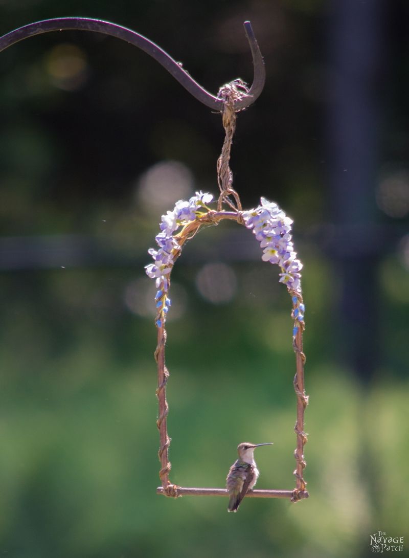 DIY Hummingbird Perch | How to make a hummingbird swing from copper pipe | How to attract hummingbirds | Upcycled copper pipe | Repurposed pipe | Easy garden diy | #TheNavagePatch #DIY #gardens #upcycled #repurposed #hummingbird #garden #easydiy | TheNavagePatch.com