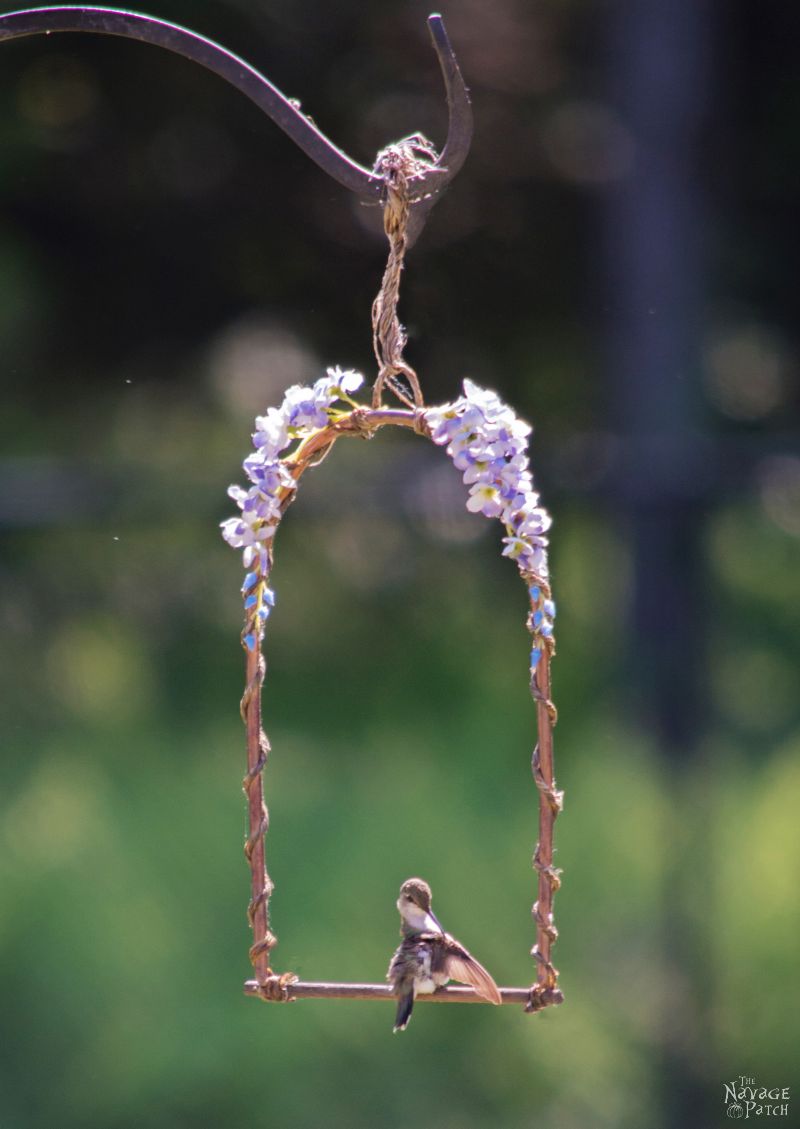 DIY Hummingbird Perch | How to make a hummingbird swing from copper pipe | How to attract hummingbirds | Upcycled copper pipe | Repurposed pipe | Easy garden diy | #TheNavagePatch #DIY #gardens #upcycled #repurposed #hummingbird #garden #easydiy | TheNavagePatch.com
