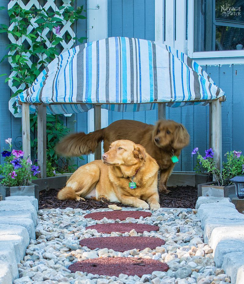 Papasan Dog Hut | Upcycling papasan chair to dog house | Simple woodworking & DIY | How to make a dog house with planters | TheNavagePatch.com 