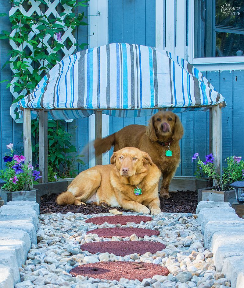 Papasan Dog Hut | Upcycling papasan chair to dog house | Simple woodworking & DIY | How to make a dog house with planters | TheNavagePatch.com 