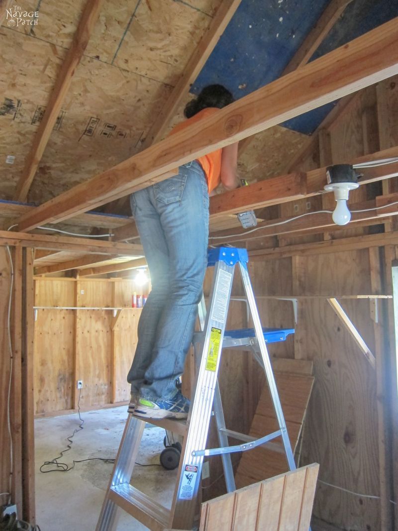 Garden Shed Organization | Creating a Rodent Proof Shed | Simpe and Easy #garden #shed #organization and #cleaning | TheNavagePatch.com