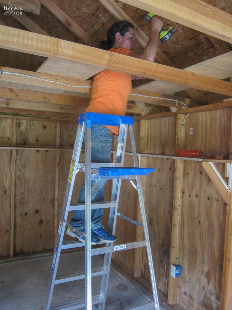 Garden Shed Organization | Creating a Rodent Proof Shed | Simpe and Easy #garden #shed #organization and #cleaning | TheNavagePatch.com