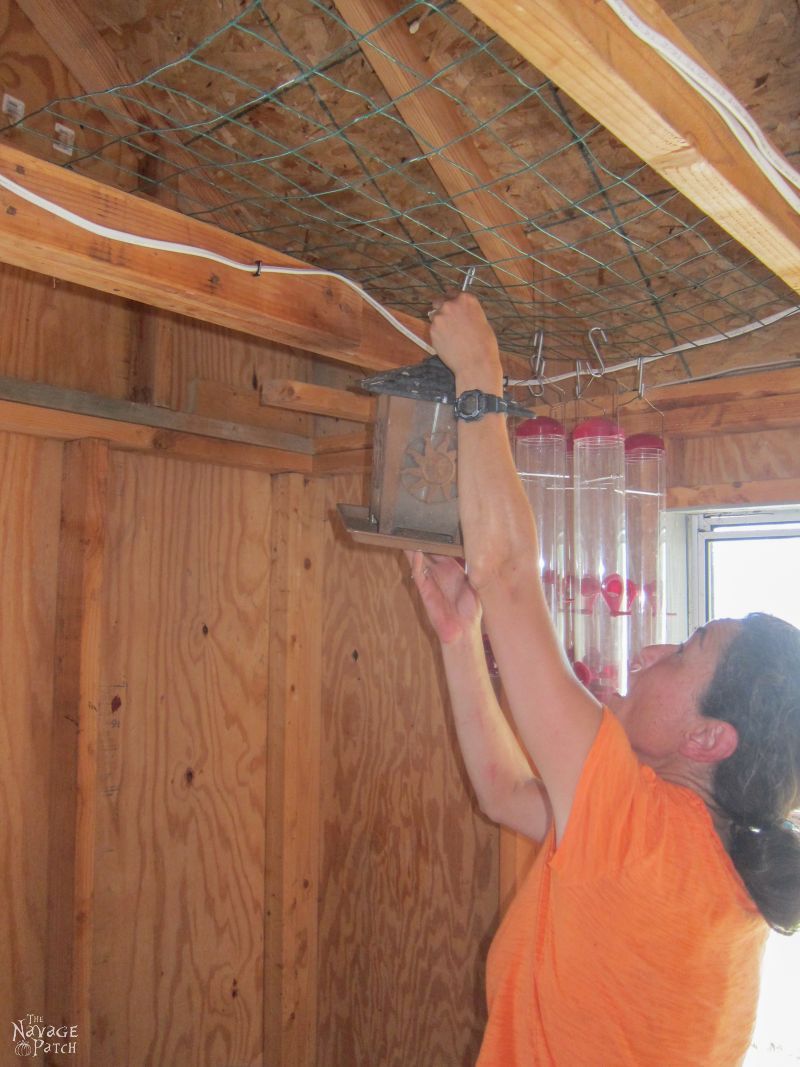 Garden Shed Organization | Creating a Rodent Proof Shed | Simpe and Easy #garden #shed #organization and #cleaning | TheNavagePatch.com