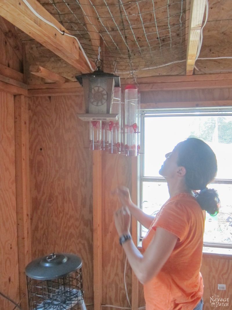 Garden Shed Organization | Creating a Rodent Proof Shed | Simpe and Easy #garden #shed #organization and #cleaning | TheNavagePatch.com