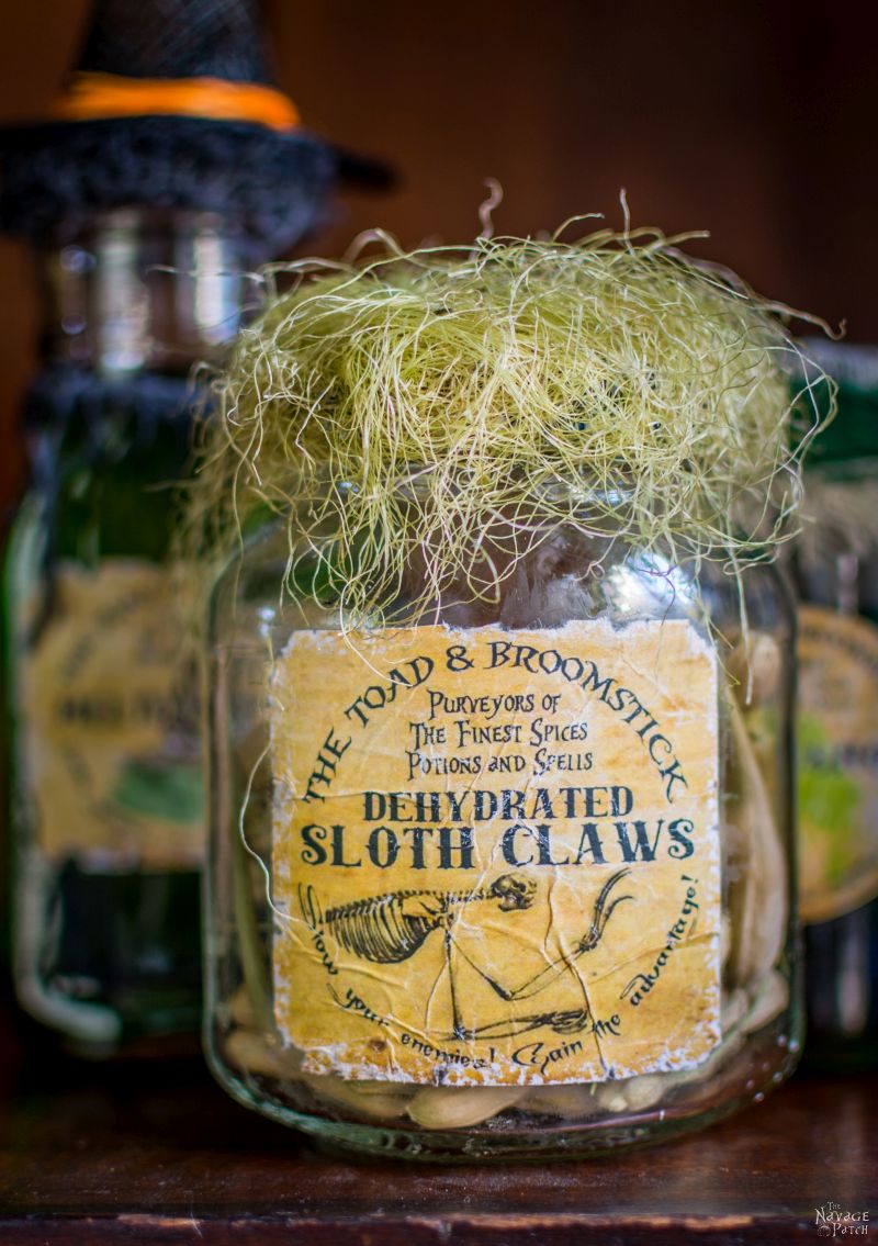 Apothecary Jars and Free Printable Labels | DIY potion bottle and spell books Halloween decor | Harry Potter theme Halloween decor ideas | Free printable labels for apothecary jars | DIY apothecary jars with Dollar store supplies | Spooky and fun witches kitchen ideas | #TheNavagePatch #Halloween #diy #easydiy #potionbottle #potion #halloweedecor # halloweenparty #dollarstore #dollartree #upcycle #repurposed #HarryPotter | TheNavagePatch.com