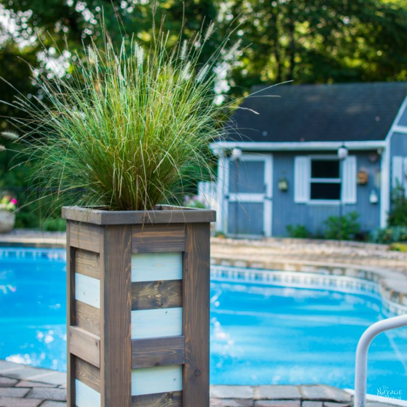 DIY Cedar Planter {with free plans} | How to build an outdoor cedar planter box | #Freeplans for #Woodplanter | DIY coastal style tall and slim planter | How to build a square wood planter | Budget friendly #DIY #planter for the perfect #CurbAppeal | TheNavagePatch.com