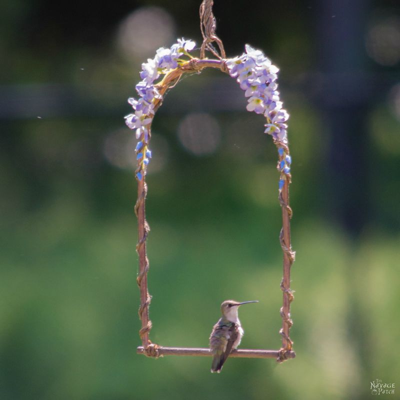 DIY Hummingbird Perch | How to make a hummingbird swing from copper pipe | How to attract hummingbirds | Upcycled copper pipe | Repurposed pipe | Easy garden diy | #TheNavagePatch #DIY #gardens #upcycled #repurposed #hummingbird #garden #easydiy | TheNavagePatch.com