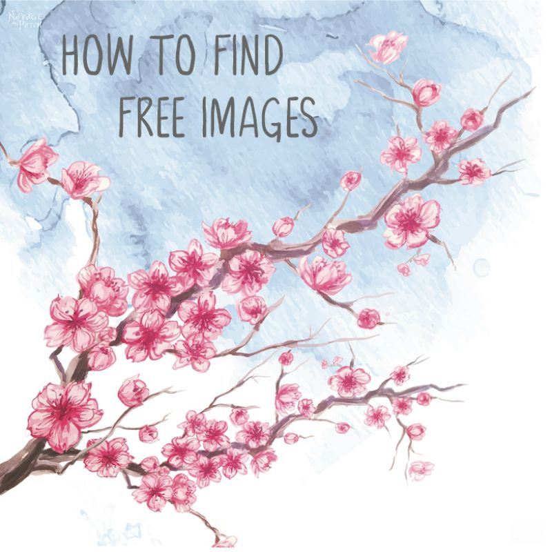 How to Find Free Images - TheNavagePatch.com