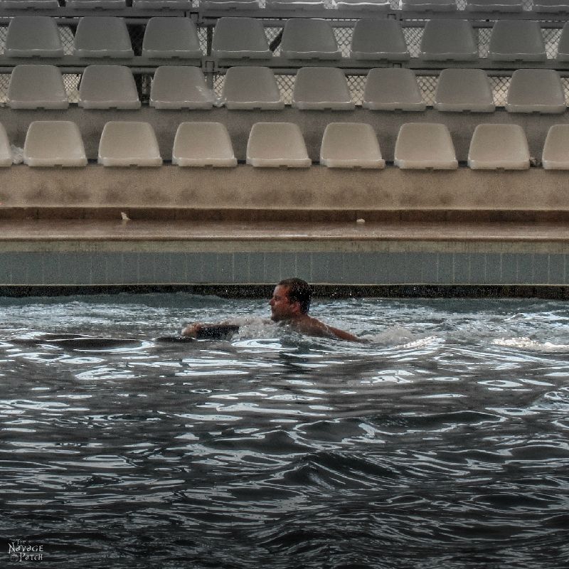 The Antalya Interlude: Swimming With The Dolphin