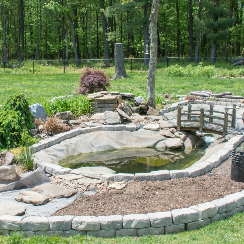 The Pond Project | DIY pond and backyard makeover | DIY garden edging | How to lay edge stones | How to edge garden beds | Tips on landscaping | DIY garden decor | DIY koi pond lining | How to maintain a koi pond | Spring planting and transplanting | Pond and backyard reveal | Before & After | TheNavagePatch.com