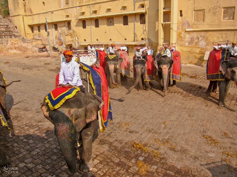 India - Part 5: Jaipur | TheNavagePatch.com
