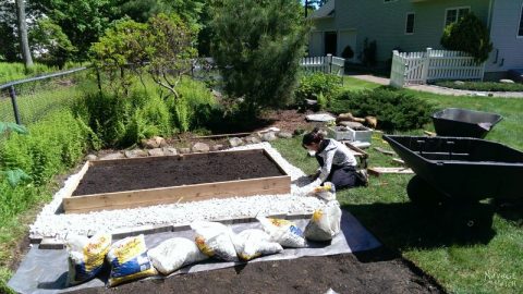 How to Build a Beautiful Raised Garden Bed in 5 Easy Steps