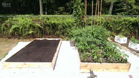 How to Build a Beautiful Raised Garden Bed in 5 Easy Steps