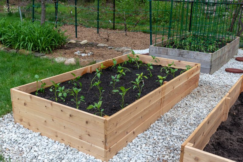 How To Build A Raised Garden Bed The, Diy Cedar Raised Garden Beds