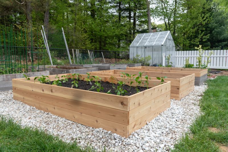 raised garden bed