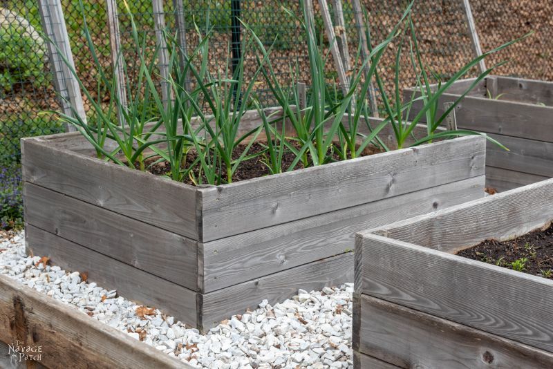 DIY Raised Garden Beds