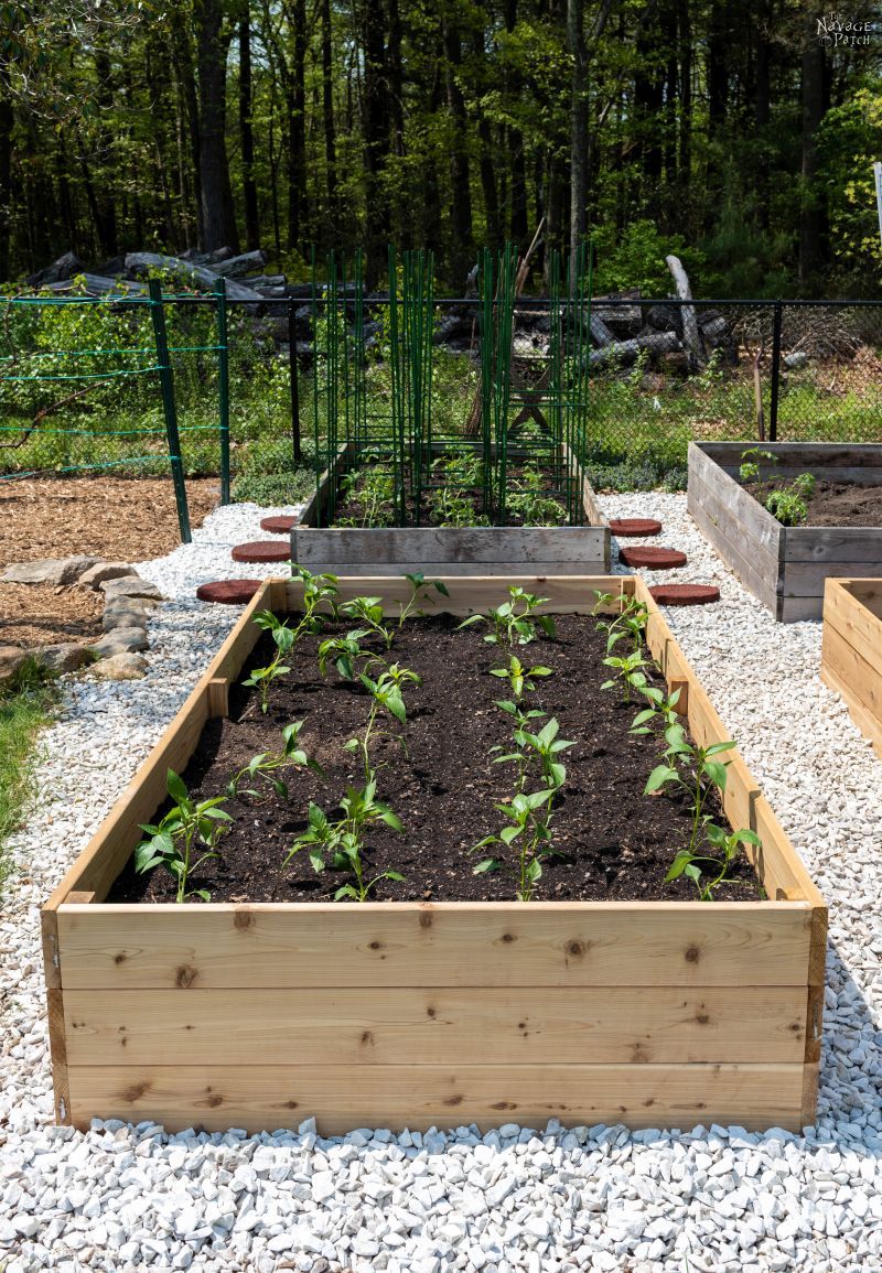 How to Build a Beautiful Raised Garden Bed in 5 Easy Steps