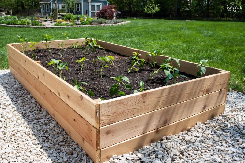 Diy Raised Garden Beds Tutorial The Navage Patch