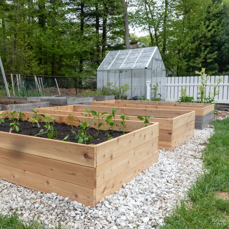 Diy Raised Garden Beds Tutorial The Navage Patch