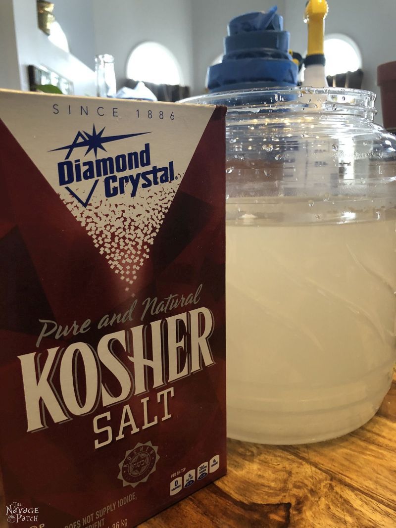 kosher salt box next to container of brine