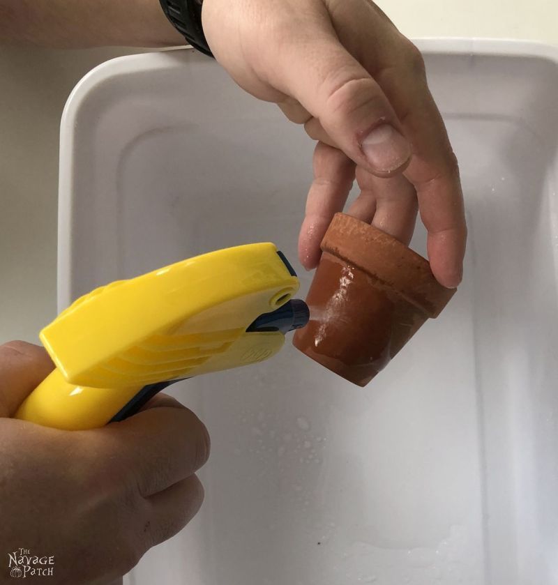 spraying a terra cotta pot with salt brine