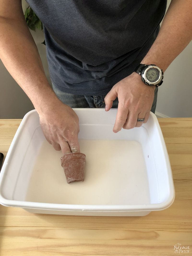 small terra cotta pot in a tub of baking soda and water