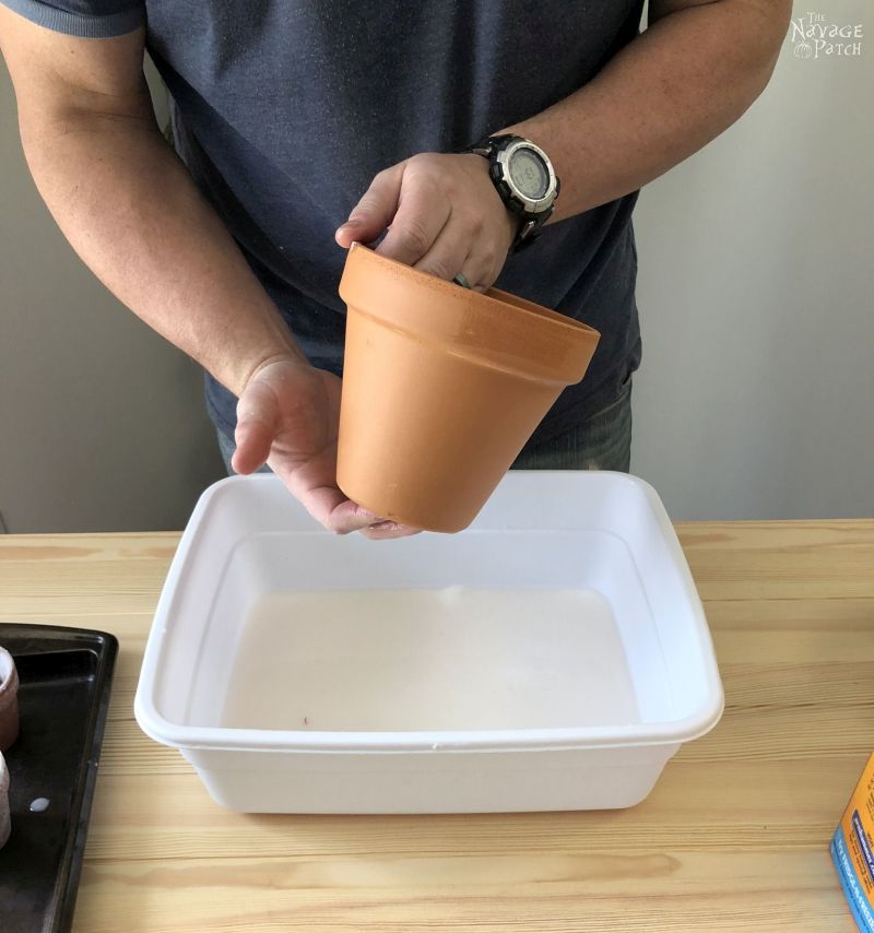 man holding a terra cotta pot