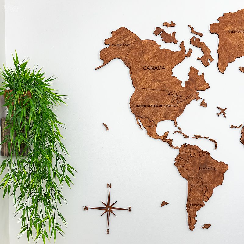 Wooden world map on wall next to green plant