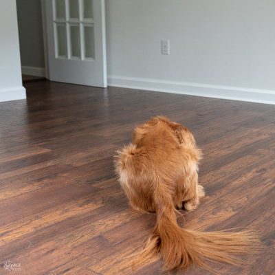 new laminate floor