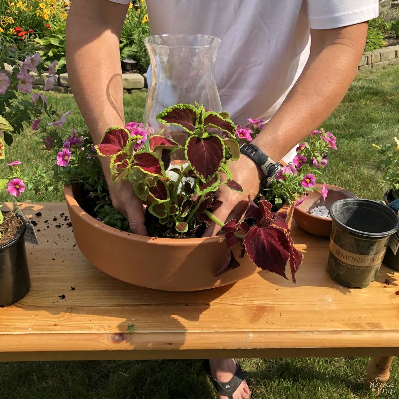 filling a large flower pot with annual flowers