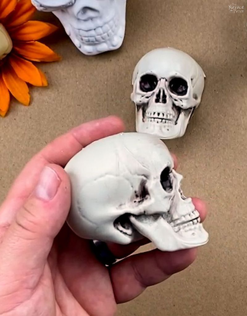 man holding a small plastic skull