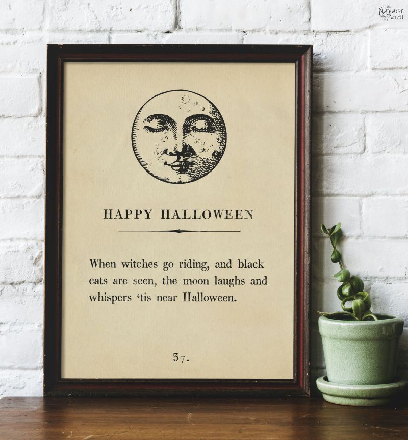 Free Halloween Book Page Printables - TheNavagePatch.com