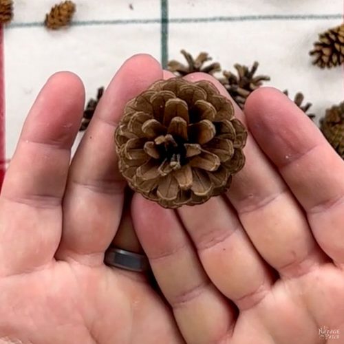 DIY Pine Cone Christmas Tree - The Navage Patch