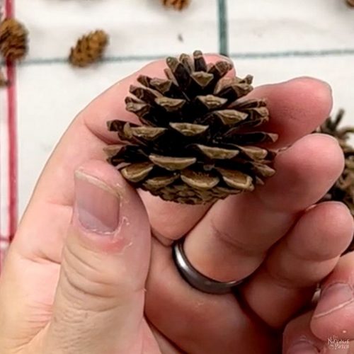 DIY Pine Cone Christmas Tree - The Navage Patch