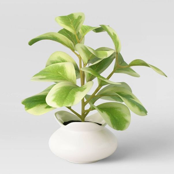 How To Make DIY Artificial Plant, Money Plant