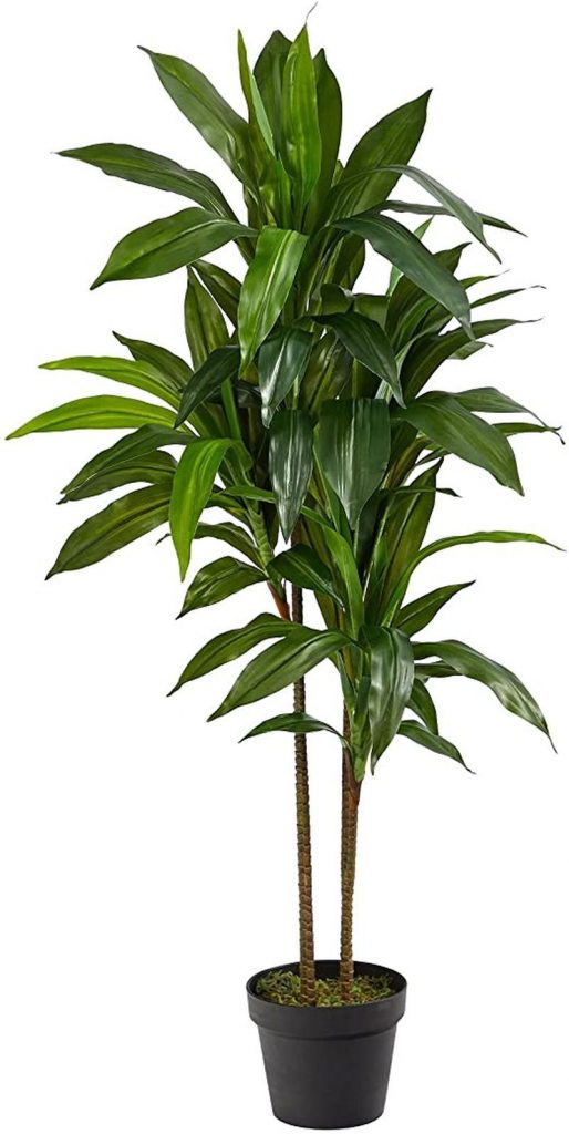 faux plant