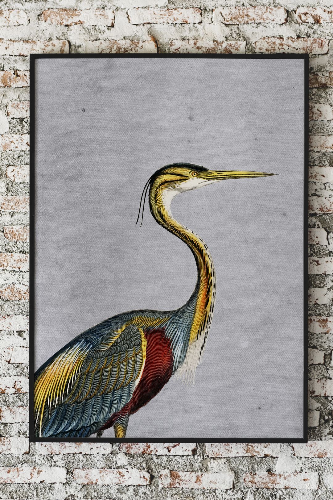 Free Vintage Shorebird Printables - TheNavagePatch.com
